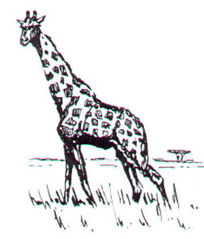 Bild Giraffe von Uli Aschenborn